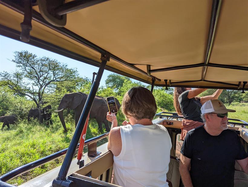 Guests on a game drive